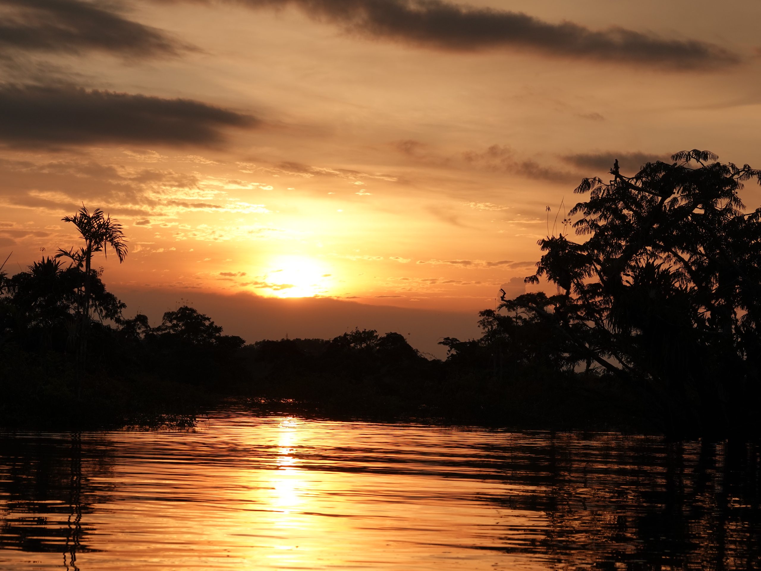 dsc02596