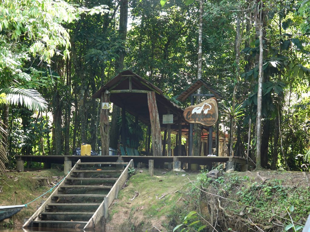 dsc02919